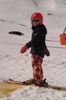 IMG_2833.jpg